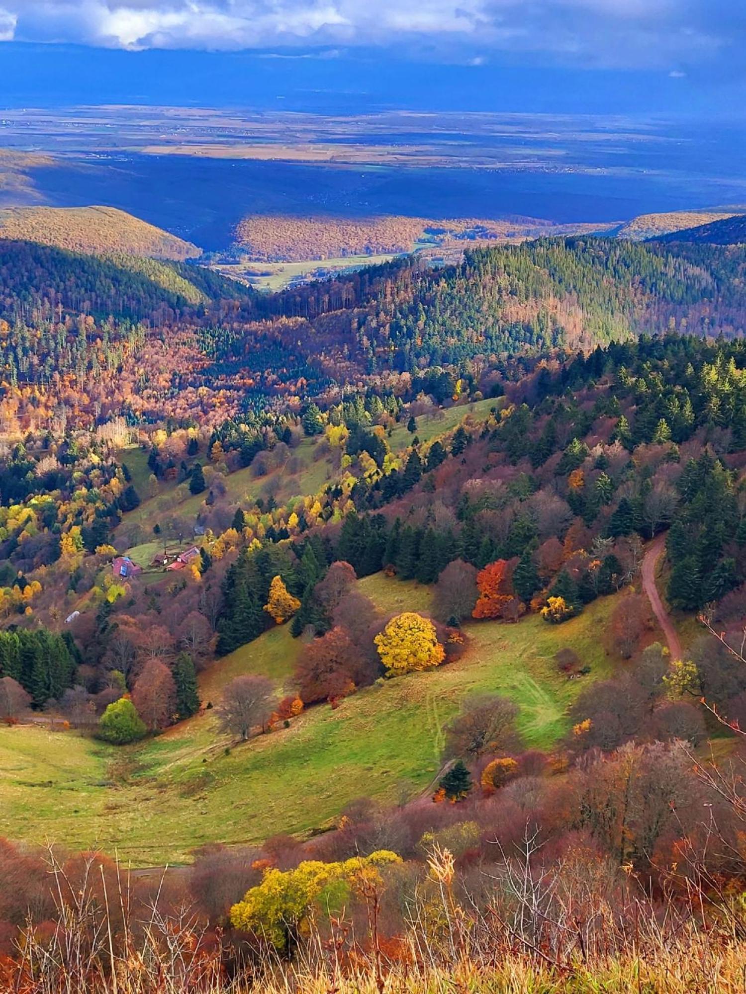 Le Panorama Du Murat Mulhouse Riedisheim 68 Haut-Rhin Alsace Saint-Louis エクステリア 写真